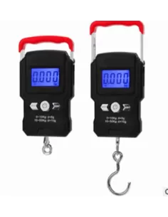 Yamashiro Libra Weighs 50 kg 2