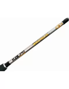 Kolpo Brutalia Fishing Rod Train with Carrucole 30 80 lb 2