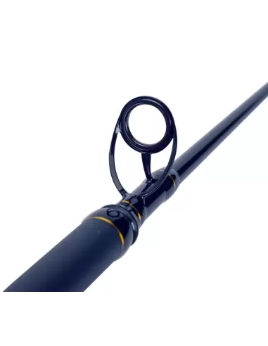 Sele Boat Xperience Canna da Pesca Gr 200 Pesca dalla Barca