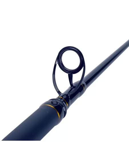 Sele Boat Xperience Canna da Pesca Gr 200 Pesca dalla Barca