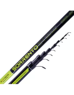 Sele Sorrento Bolognese Fishing Rods in Carbon 30T 2