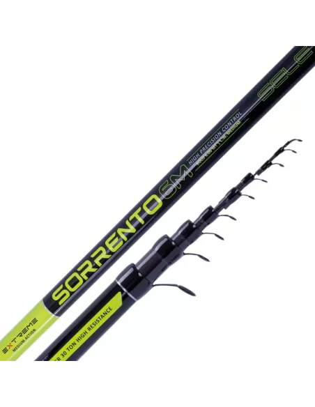 Sele Sorrento Canne da Pesca Bolognesi in Carbonio 30T