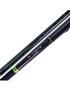 Sele Amarante Bolognese Fishing Rods in Carbon 40T 2