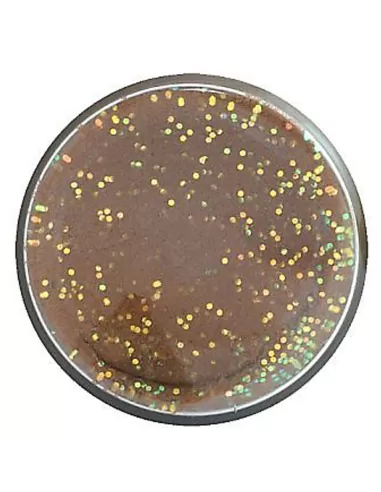 Berkley Powerbait Glitter Trout Bait Trout Pellet Pastella per Trote