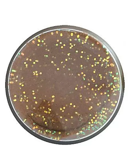 Berkley Powerbait Glitter Trout Bait Trout Pellet Pastella per Trote