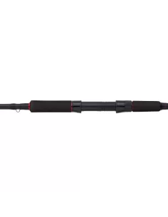 Abu Garcia Beast Spinning Rod Pike Fishing Rods Spinning Special Pike 2