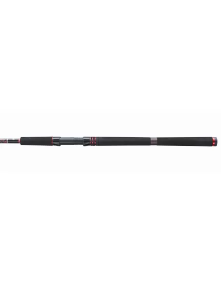 Penn Squadron III SW Spin Spinnng Rod Canna Potente Spinning