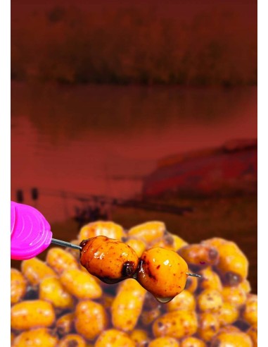 Dynamite Bait Booster Hookbaits Tiger Nuts Jumbo 500 ml  Mais e Granaglie Innesco e Pasturazione Dynamite