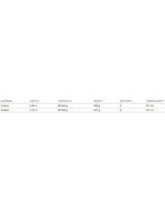 Mistrall Atlantis Fishing rod in two sections Robusta 90/220 gr 2