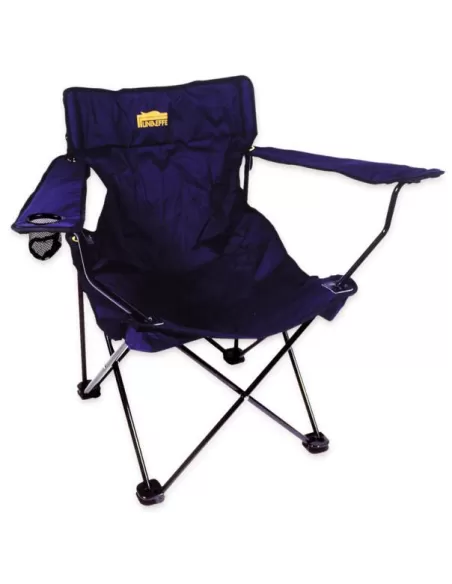 Chair with armrests