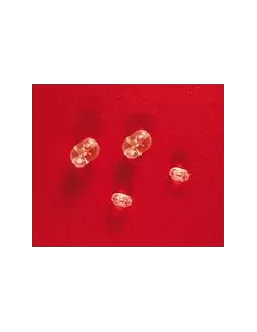 Double-hole beads 20 pz 