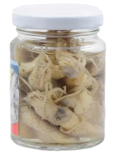 Bait again-baby octopus 