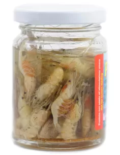 Next bait-Shrimp 