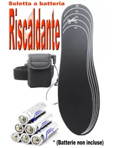 Heating insole 
