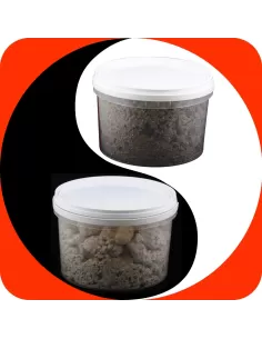 Groundbait Extasi ready sea 
