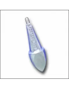 Lead Sportenn