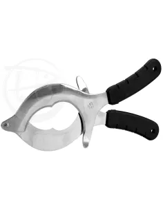 Stainless scissors ricci 