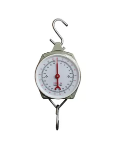Onion-scales 