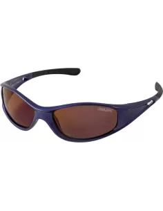 Blue polarized glasses 