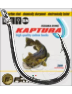 Ami kaptura catfish 