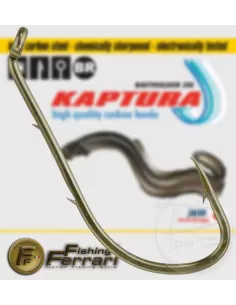 Ami kaptura eel 