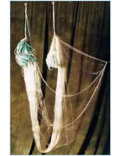 barracuda fishing nets Barracuda Nets: Best Price Online