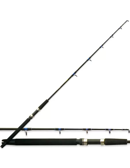Lineaeffe Malibu Fishing Rod Coastal Train