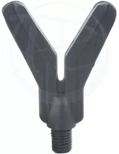 Anterior pole V ECO 
