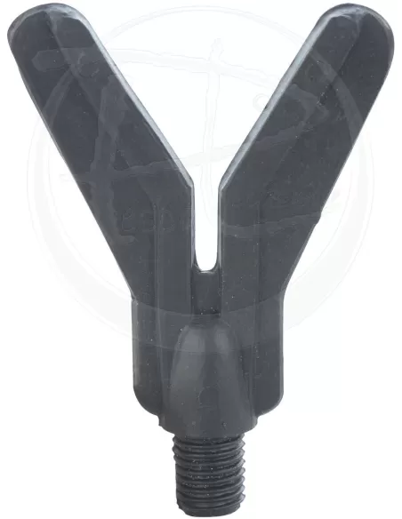 Anterior pole V ECO