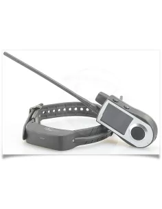 GPS dog collar 