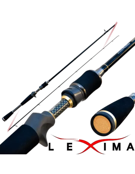 Lexima Baitcasting fishing rod in carbon