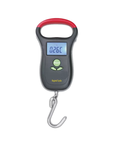 Digital scale capacity 25 kg weighs Fish