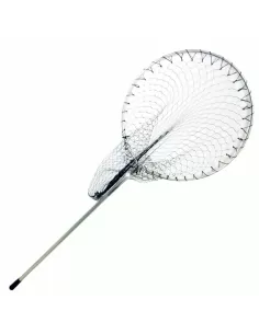 Guadino Mare Testa Tonda Special Boat head 50 cm 
