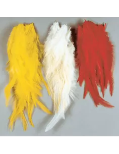 Feathers for Frames 