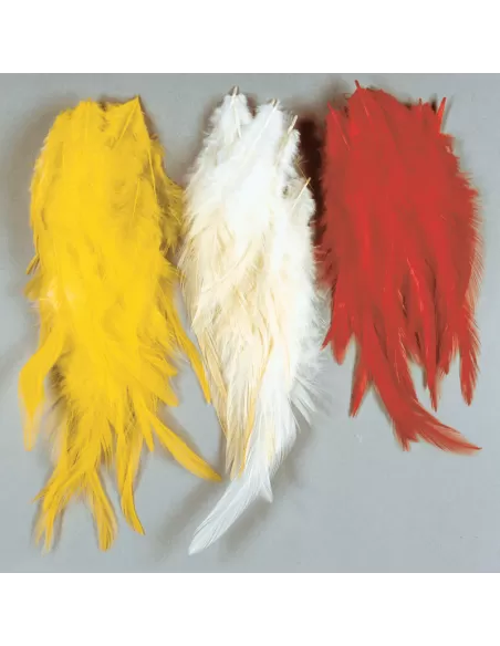 Feathers for Frames
