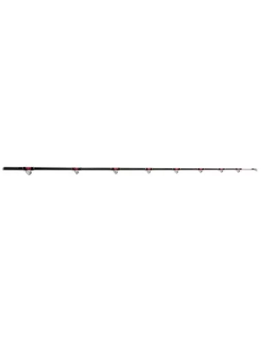 Canna da pesca - Electric reel special