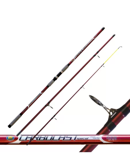 Canna da pesca Surf Casting 3 Pezzi Carbocast 200 gr Canne da pesca Lineaeffe