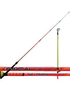 Fishing rod Coastal Train Prisma Boat Mono 50-100 gr 