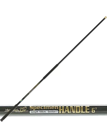 Fishing Guadino Handle Specimen 1.80 meters