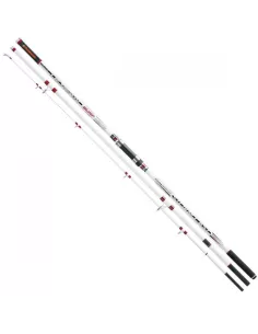 Trabucco Reeds Deylan Storm Starring Lc Surf fishing rod Casting 