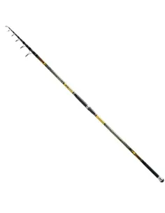 Trabucco Reeds Cassandra xs Surf fishing rod Casting 