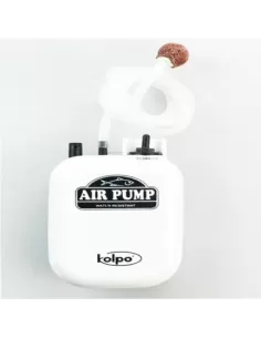 Fishing Pond Oxygenator Double Speed 
