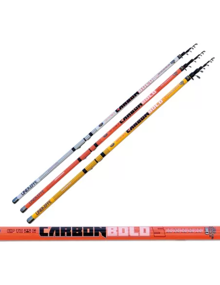 Fishing rod Bolognese Lineaeffe Carbon carbon Bolus IM7