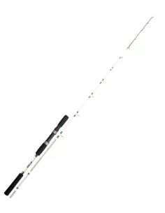 Sele fishing pole Stage 1.80 mt two sections 20-100 gr 