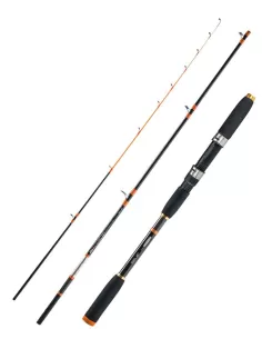 Sele boat fishing Rod Action 80 gr Artax Squid 