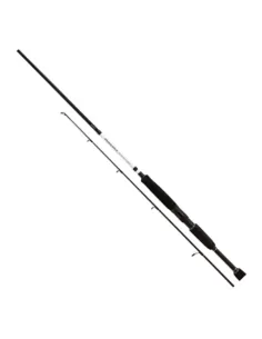 Shimano Vengeance Bx Sea Bass cane spinning 20-60 grams 
