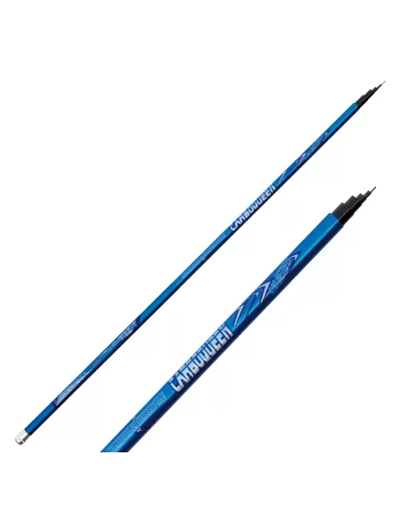 Lineaeffe Carboqueen Pole Canna da pesca Bolognese Carbonio Canne da pesca Lineaeffe