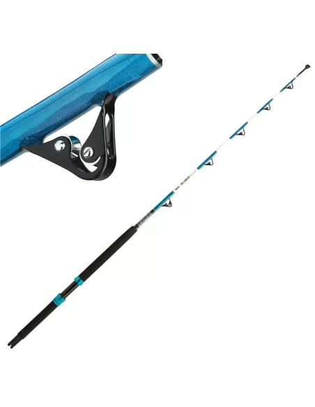 Sauces To Drag Fishing Rod Train 30-60 lbs