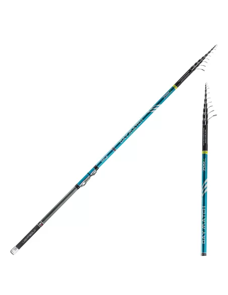 Sele Day Match Canna Bolognese in Carbonio Azione Progressiva Canne da pesca Sele
