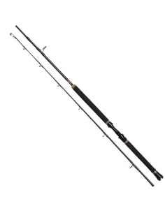 Penn Regiment II Boat Boat Fishing Rods 